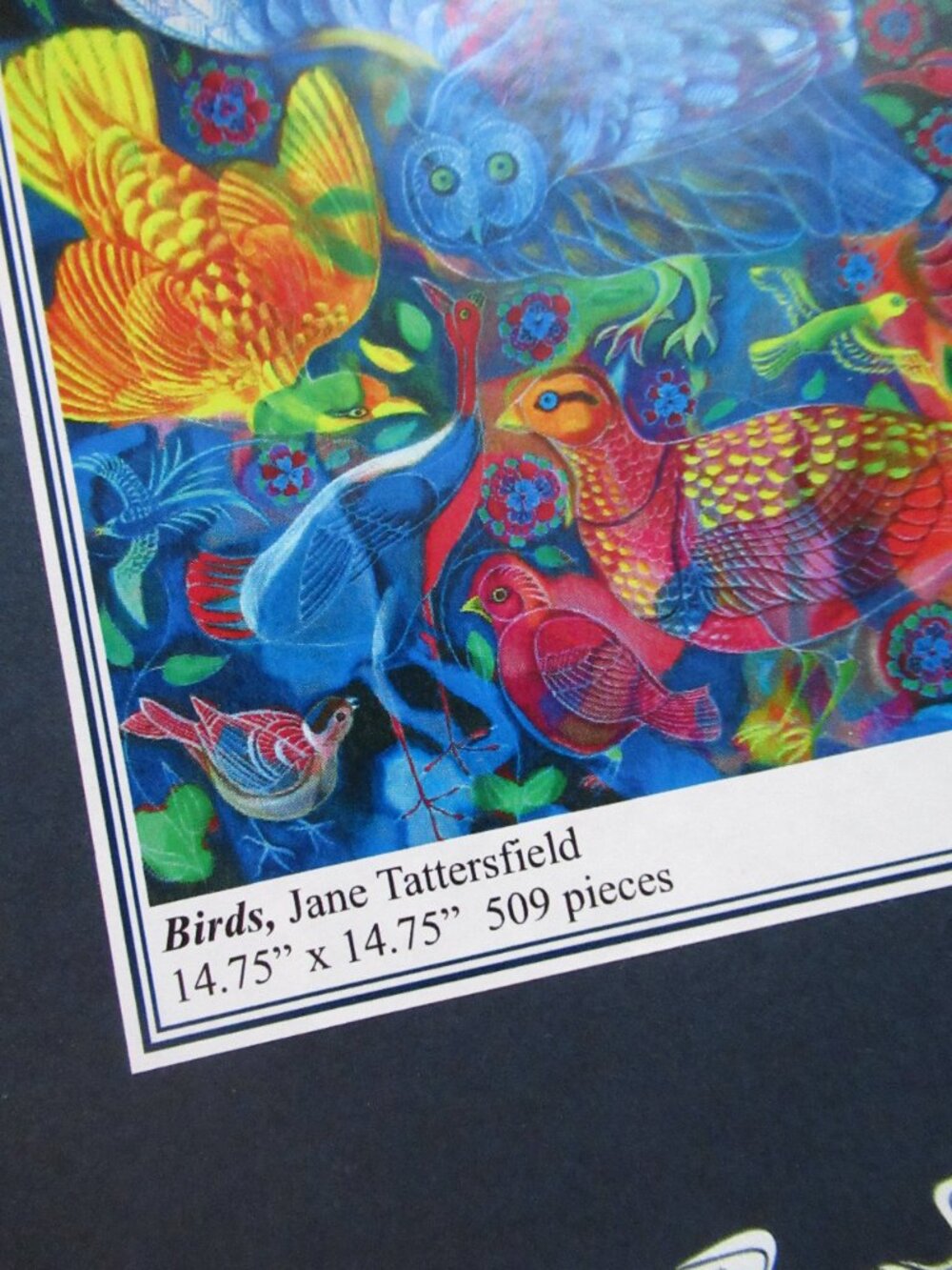 Wooden Birds Puzzle - Picture 11 of 15